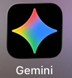 Gemini 12个月Pro成品号