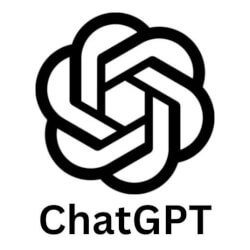 ChatGPT Plus Fleet Activation Code