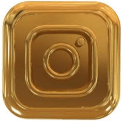 Instagram live accounts